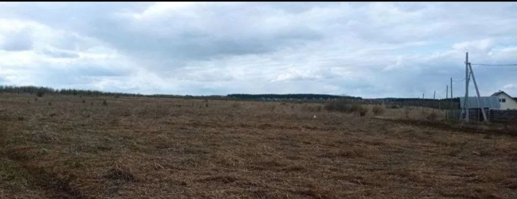 Земельные участки в Култаево, Пермский край — вид на поле, лес и линию электропередачи